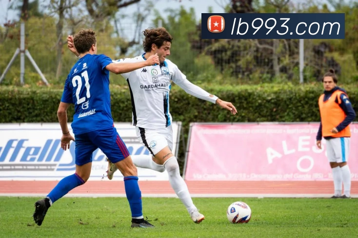 互动解说服务